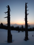 photo?id=3746&suffix=t