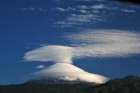 photo?id=3750&suffix=t
