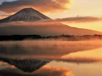 photo?id=3751&suffix=t