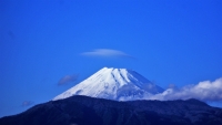 photo?id=3755&suffix=t