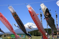 photo?id=3756&suffix=t