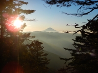 photo?id=3757&suffix=t