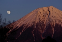 photo?id=3758&suffix=t