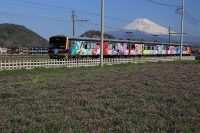 photo?id=3760&suffix=m