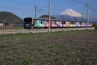 photo?id=3760&suffix=t