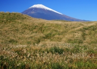 photo?id=3761&suffix=t