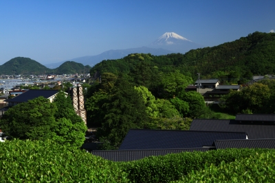 photo?id=3770&suffix=m