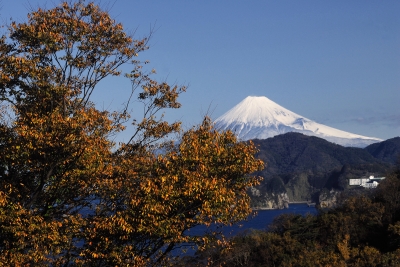 photo?id=3771&suffix=m