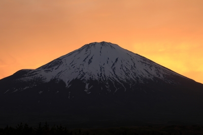 photo?id=3779&suffix=m
