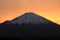 photo?id=3779&suffix=t