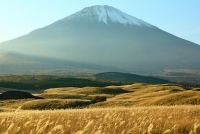 photo?id=3785&suffix=t