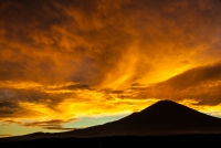 photo?id=3787&suffix=t