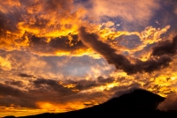photo?id=3788&suffix=t