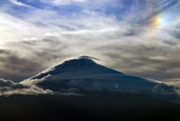 photo?id=3789&suffix=t