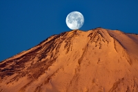 photo?id=3790&suffix=t