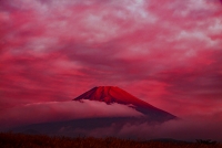 photo?id=3791&suffix=t