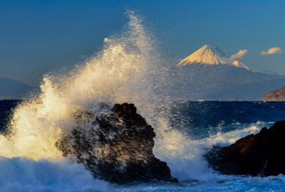 photo?id=3793&suffix=m