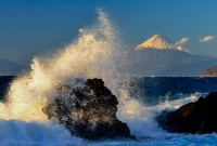 photo?id=3793&suffix=t