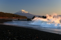 photo?id=3795&suffix=t
