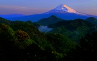 photo?id=3796&suffix=t