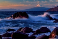photo?id=3801&suffix=t