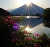 photo?id=3803&suffix=t