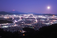 photo?id=3805&suffix=t