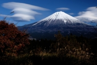 photo?id=3806&suffix=t