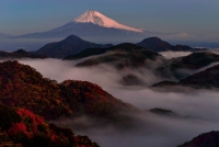 photo?id=3807&suffix=t