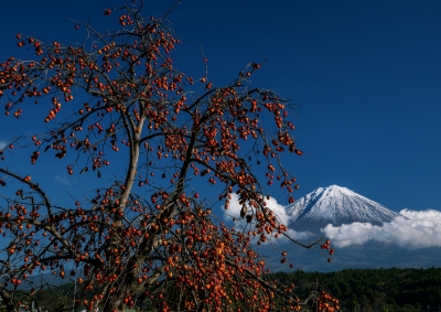 photo?id=3834&suffix=m