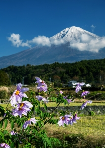 photo?id=3837&suffix=m