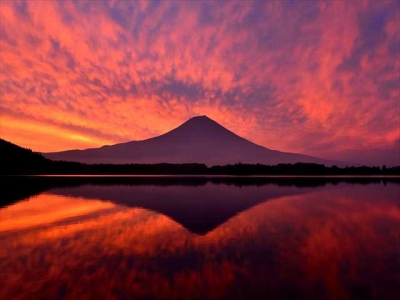 photo?id=3844&suffix=m
