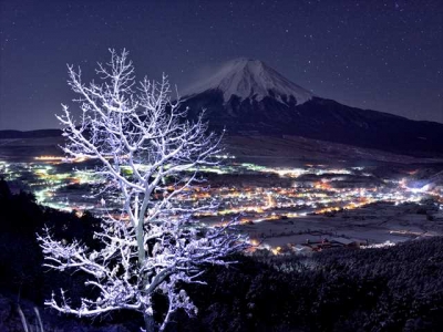 photo?id=3848&suffix=m