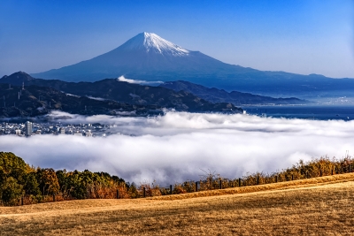 photo?id=3865&suffix=m