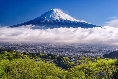 photo?id=3866&suffix=m