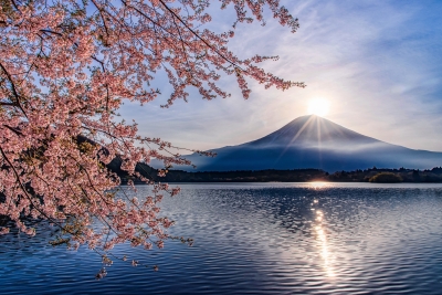 photo?id=3867&suffix=m