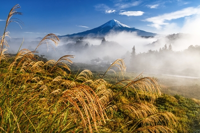 photo?id=3872&suffix=m