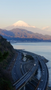 photo?id=3877&suffix=m