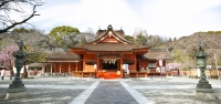 photo?id=4083&suffix=t