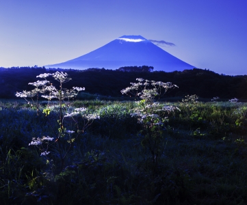 photo?id=4106&suffix=m