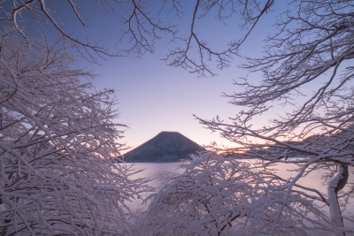 photo?id=4190&suffix=m