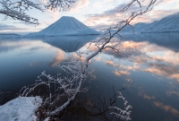 photo?id=4193&suffix=t