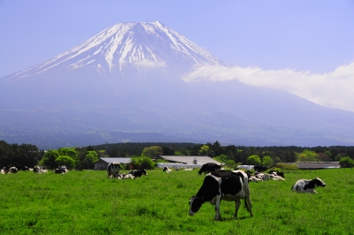 photo?id=4202&suffix=m