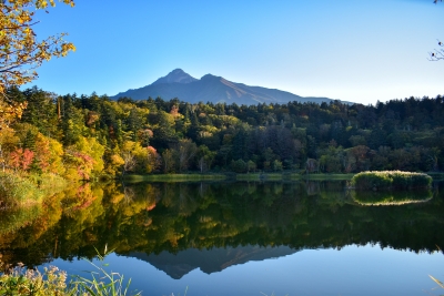 photo?id=4208&suffix=m