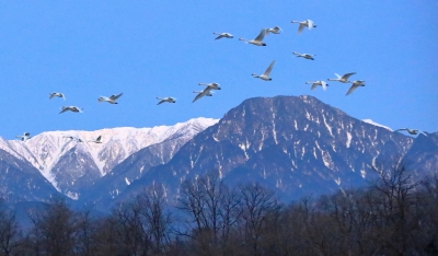 photo?id=4249&suffix=m