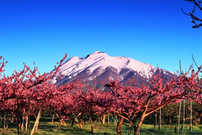 photo?id=4257&suffix=m