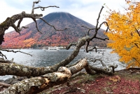 photo?id=4304&suffix=t