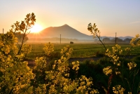 photo?id=4310&suffix=t