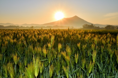 photo?id=4311&suffix=m