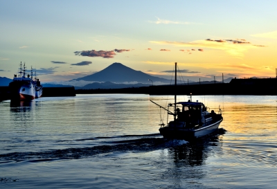 photo?id=4327&suffix=m